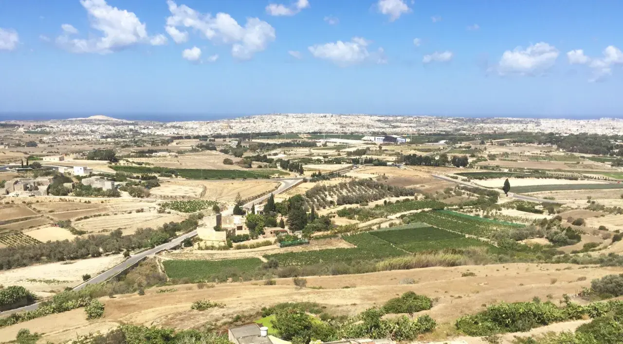 Malta, krajobraz jak z "Gry o tron", z polami uprawnymi, gajami oliwnymi i miastem w oddali.