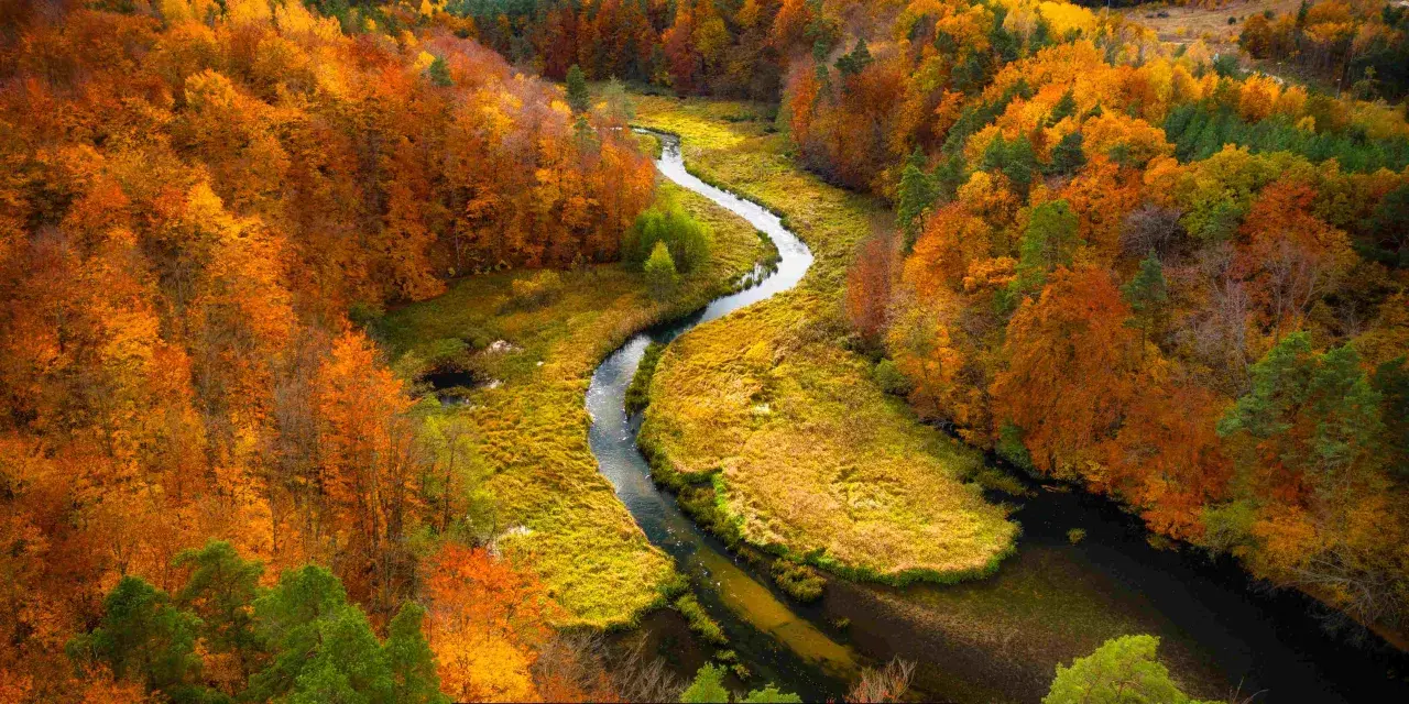 Jesienna rzeka meandruje przez las w barwach złota i czerwieni. To idealne miejsce na odkrywanie atrakcji na Kaszubach.