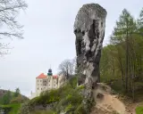 Skała na szlaku Orlich Gniazd, zamek w tle.