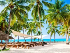 Rajska plaża z palmami i ławkami. Idealne miejsce na wakacje, kiedy jechać na Dominikana?