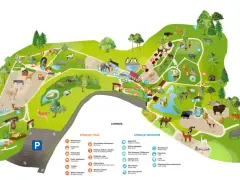 Mapa największego zoo w Polsce. Zobacz lwy, żyrafy, słonie, pingwiny i wiele innych zwierząt. Znajdziesz tu też atrakcje dla dzieci i punkty gastronomiczne.