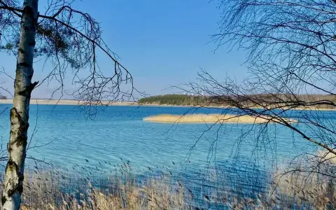 Błękitne jezioro w Polsce, otoczone trzcinami i nagimi gałęziami drzew, zaprasza do spokoju.