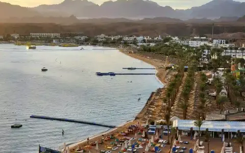 Piękna plaża z palmami i górami w tle. Czy to Hurghada czy Sharm El Sheikh?