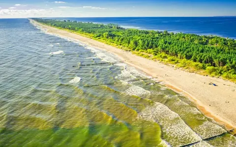 Plaża z sosnowym lasem i falującym morzem. Tu może być najcieplejsza woda w Bałtyku, idealna na letni relaks.