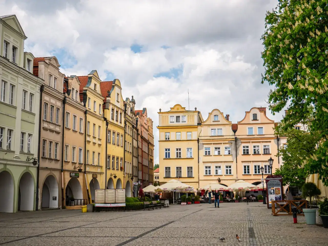 Kolorowe kamienice na rynku, kawiarniane stoliki i kwitnące drzewo tworzą urokliwy obraz, który zachęca do odkrywania jeleniogórskich atrakcji.
